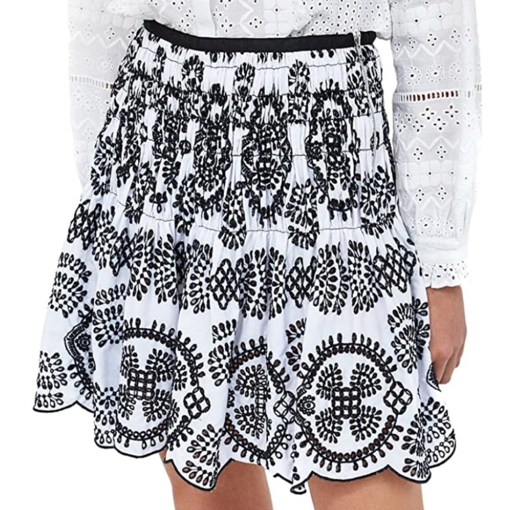 Embroidered Dressy Skirt